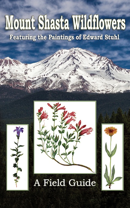 Cover of the book